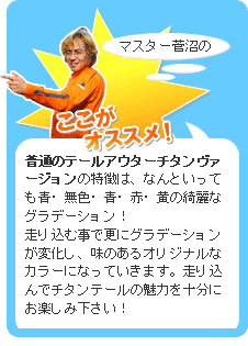 普通のテールチタン